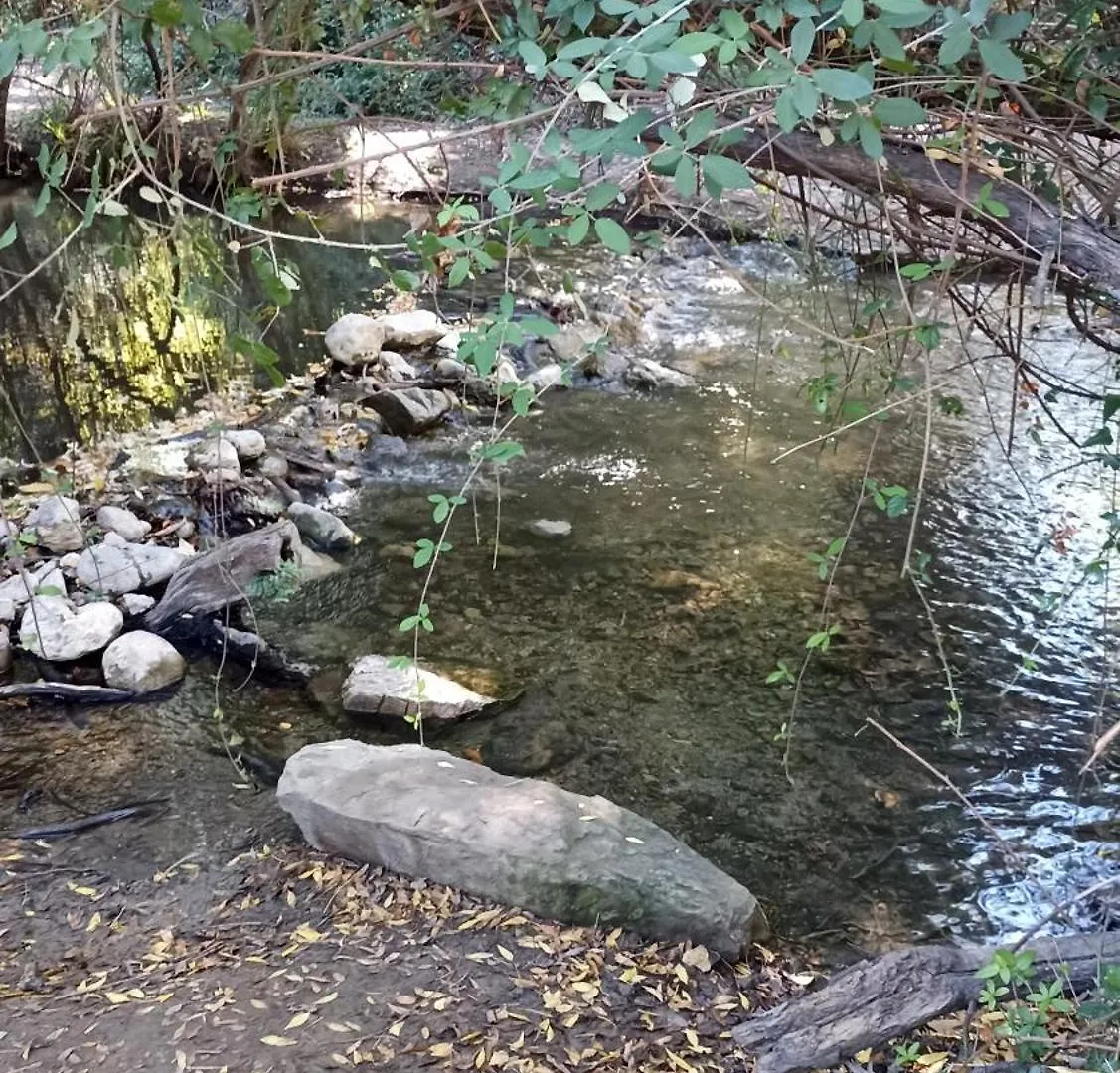 Azahares Apartamento Turistico El Bosque 0*,