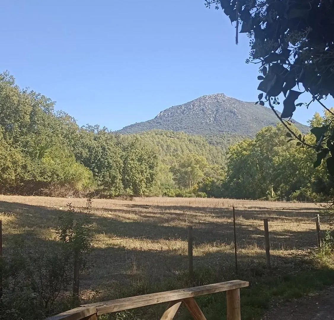 Azahares Apartamento Turistico El Bosque Apartment