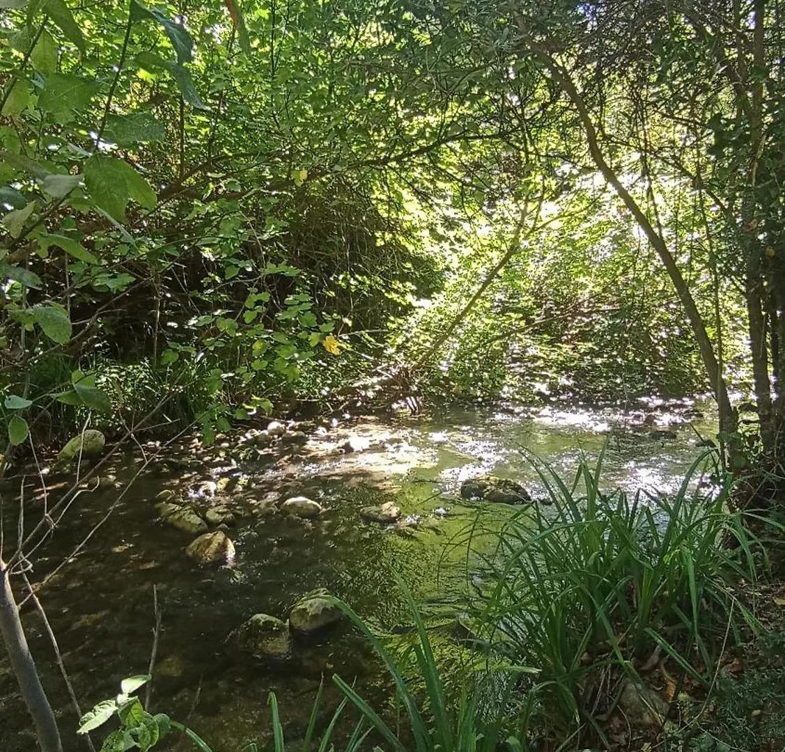 Azahares Apartamento Turistico El Bosque Spain