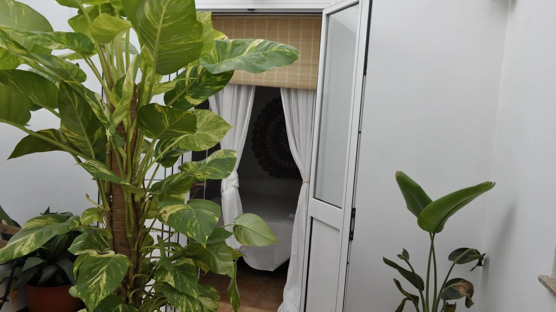 Azahares Apartamento Turistico El Bosque 0*,  Spain