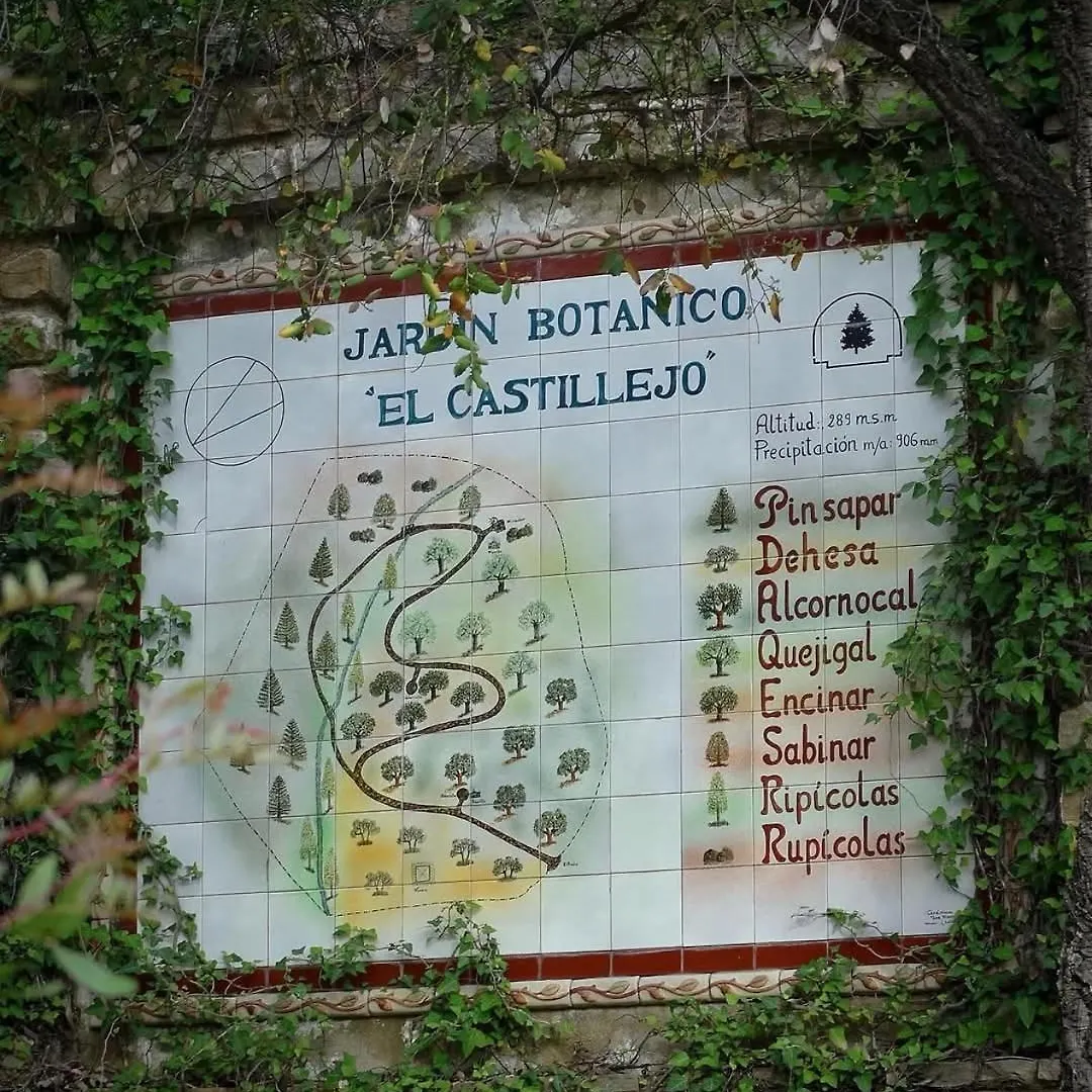 Azahares Apartamento Turistico El Bosque 0*,