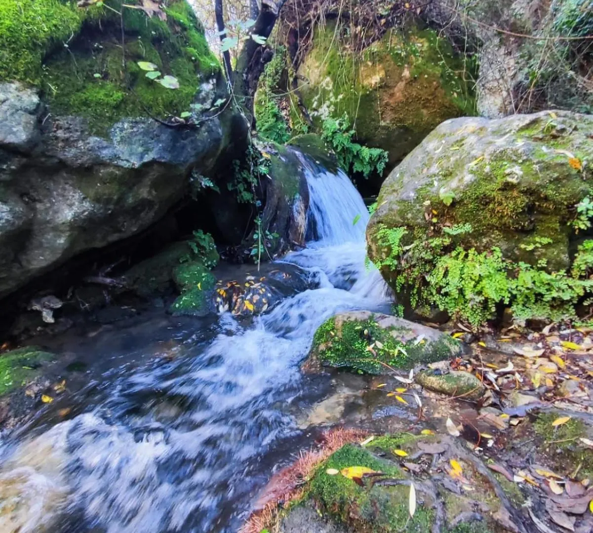 Azahares Apartamento Turistico El Bosque